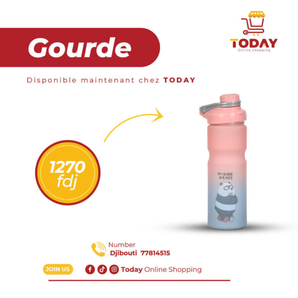 Gourde – Image 7