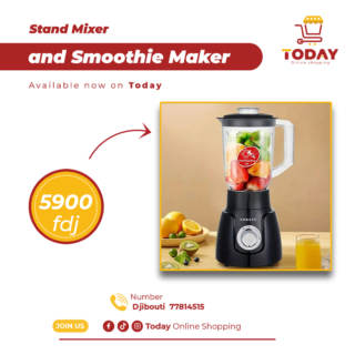 Stand Mixer and Smoothie Maker
