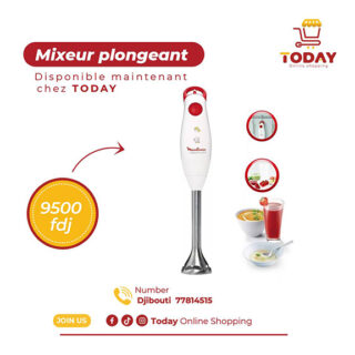 Mixeur Plongeant