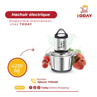 Hachoir Électrique