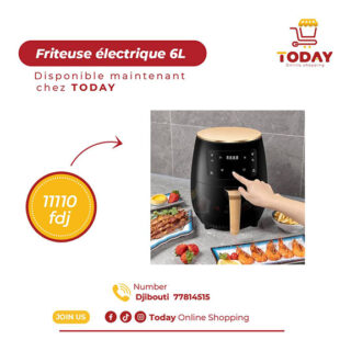 Friteuse Électrique 6L
