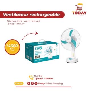 Ventilateur de table WINNIG STAR rechargeable